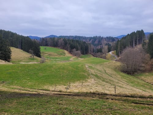 Lenacker-Bücklebodenhütte-Silberbächle