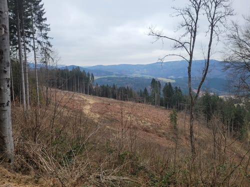 Lenacker-Bücklebodenhütte-Silberbächle