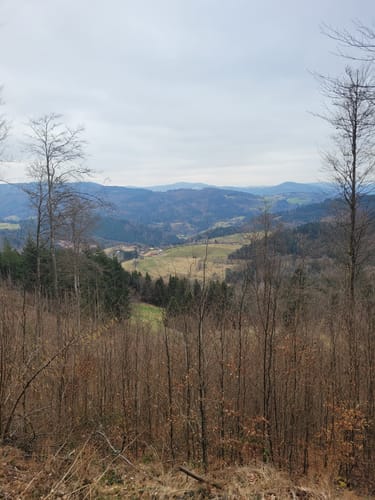 Lenacker-Bücklebodenhütte-Silberbächle
