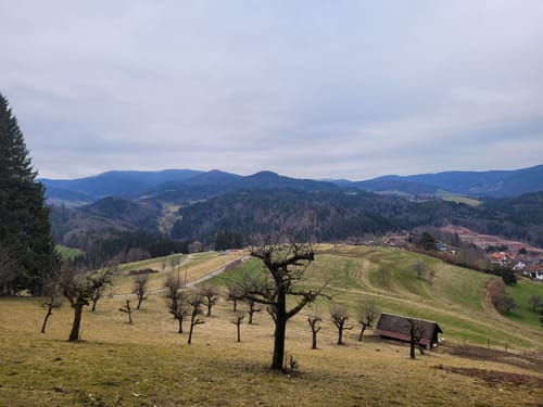 Lenacker-Bücklebodenhütte-Silberbächle