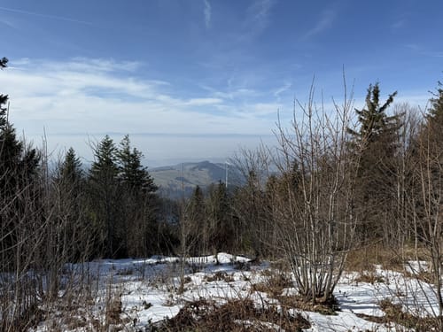 Hofsgrund und Schauinsland