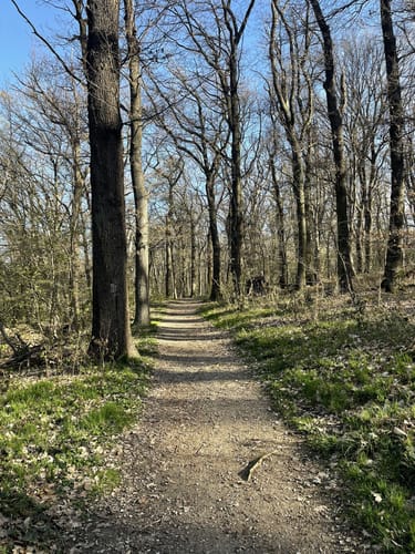 Beckmann-Rundwanderweg