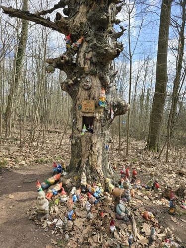 Ohrbergpark