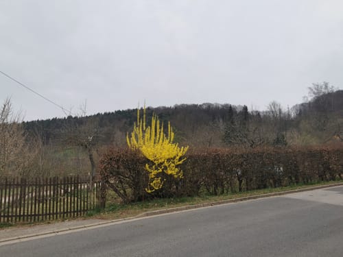 Hersbrucker Rundweg Nr. 3
