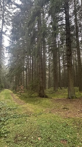 Auerhahnweg (Genießerpfad)