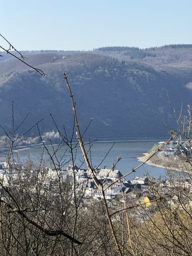 Marienberg (Premiumwanderweg)