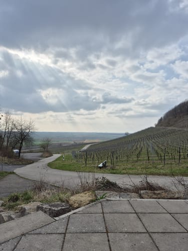 Iffigheimer und Bullenheimer Berg