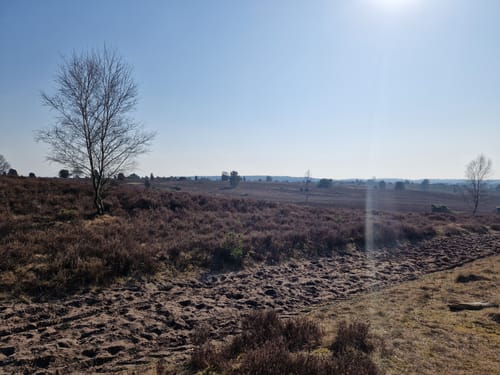 Egestorf - Voßmoor - Wilsede