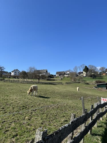 Dedenborn und Rur Panorama Rundweg