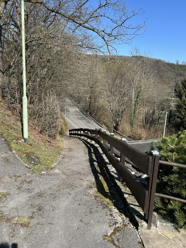 Dedenborn und Rur Panorama Rundweg