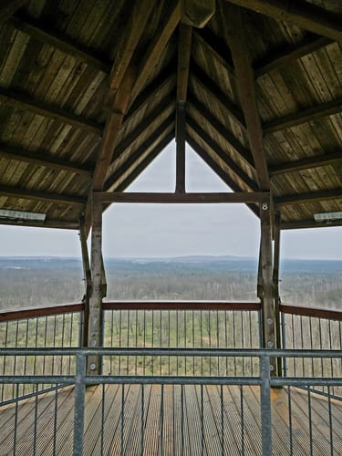 Turmpfad Königsbrücker Heide