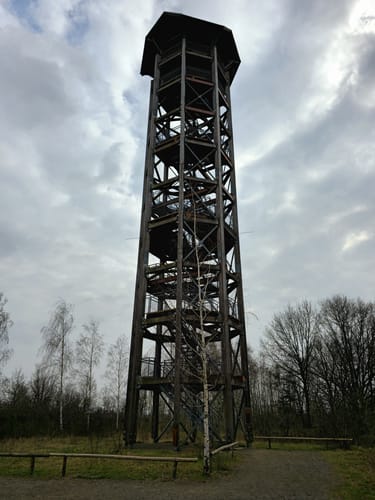 Turmpfad Königsbrücker Heide