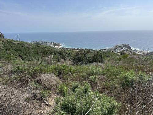 Rockhounding at Crystal Cove State Park photo 9