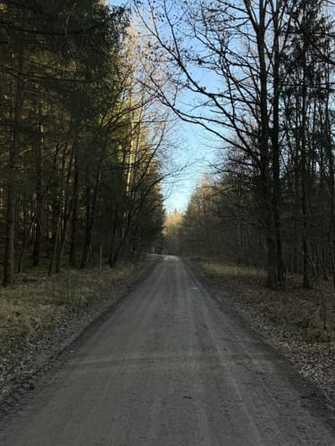 Böblinger Wald Rundweg