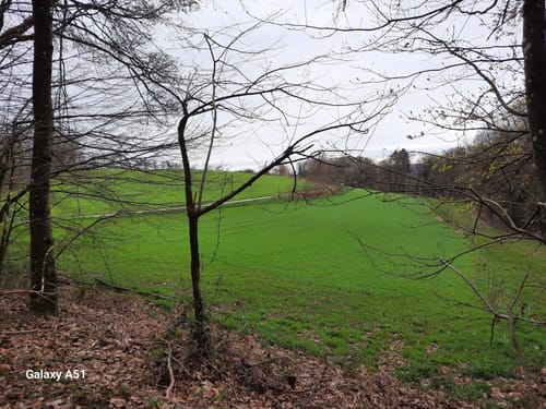 Hüttenwanderweg (Premiumwanderweg)