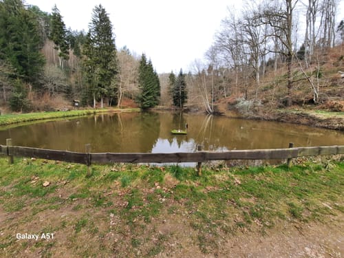 Hüttenwanderweg (Premiumwanderweg)