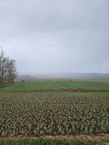 Bremke - Die Gleichen - Eschenberg