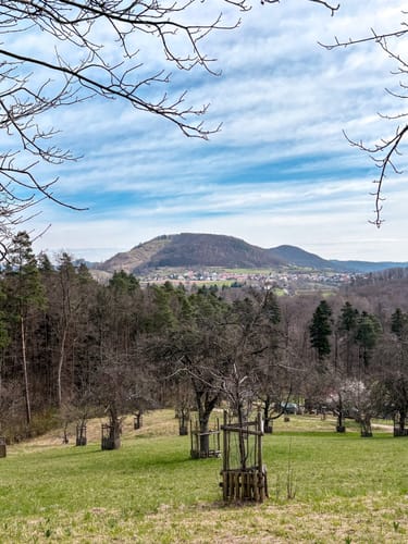 Auf den Floriansberg