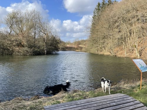 Prümer Land Tour Route 4 - Bergbaupfad Bleialf