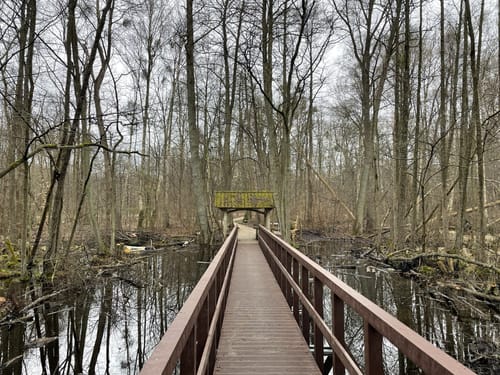 Zierker See - Kleiner Rundweg