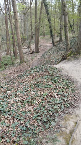 Rund um die Seen bei Pulheim