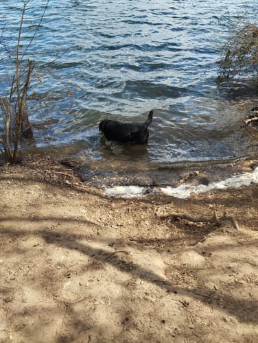 Rund um die Seen bei Pulheim