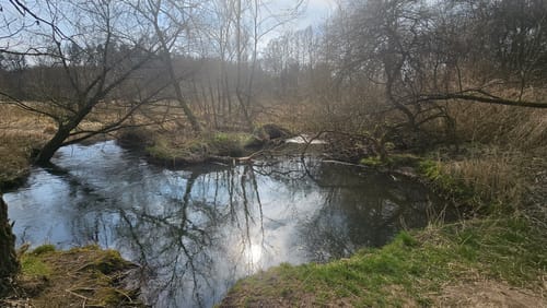 Um den Haunesee