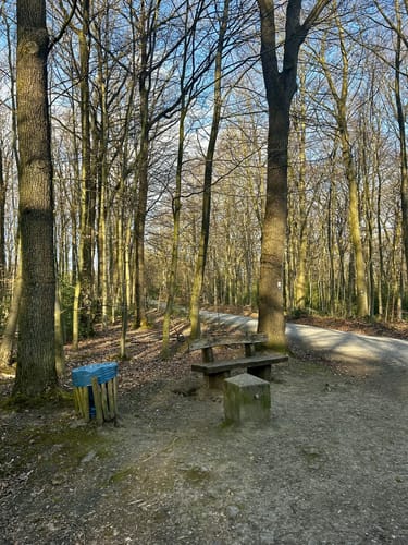 Von Menden zum Traeberts Teich