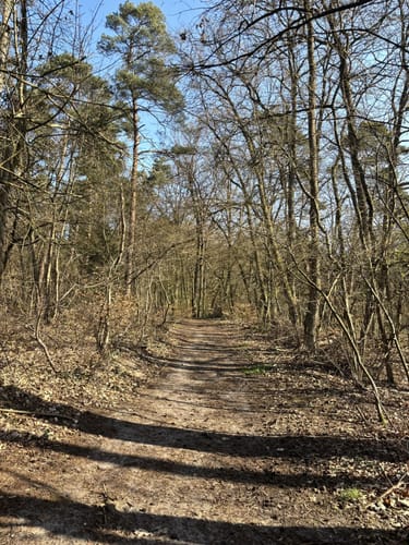 Wietze - Weckenberg