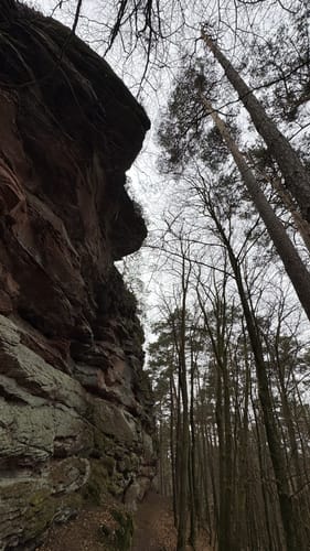 Erlebnispfad zum Humbergturm