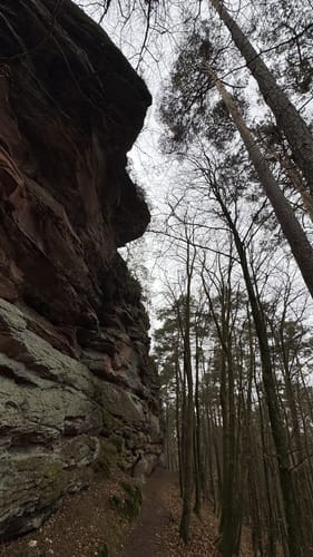 Erlebnispfad zum Humbergturm
