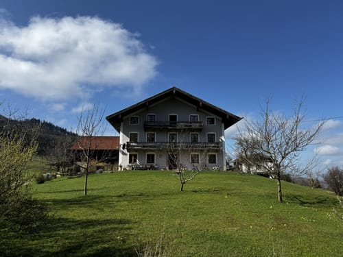 Hochriesbahn Mittelstation - Schmiedalm Rundwanderung