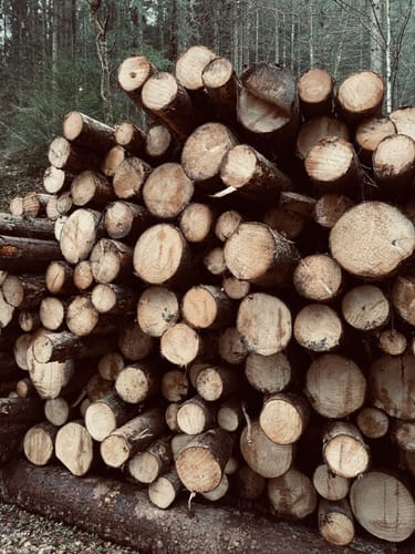 Hochriesbahn Mittelstation - Schmiedalm Rundwanderung