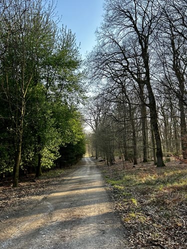 Elsebad Rundweg A7