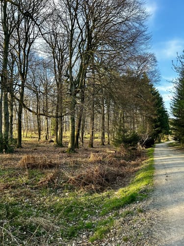Elsebad Rundweg A7