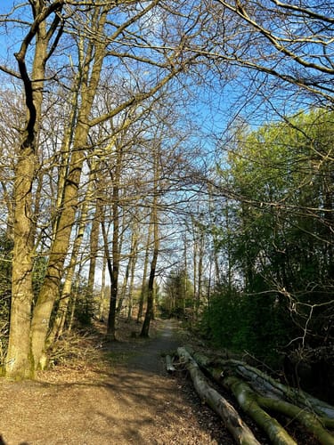 Elsebad Rundweg A7
