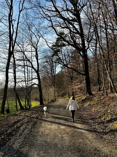 Elsebad Rundweg A7