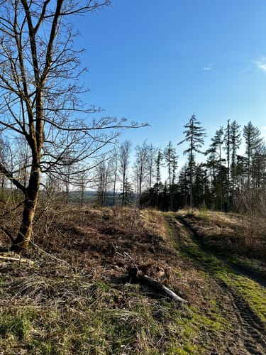 Elsebad Rundweg A7