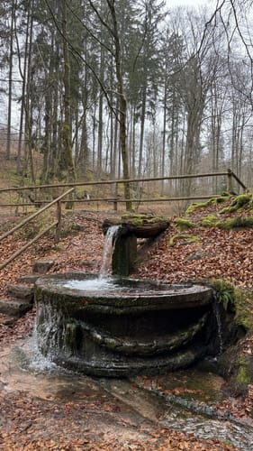 Erlebnispfad zum Humbergturm