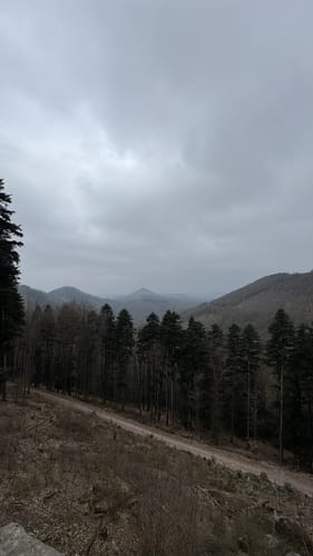 Erlebnispfad zum Humbergturm