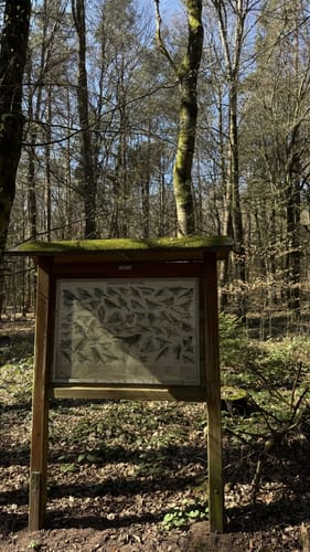 Erlebnispfad zum Humbergturm