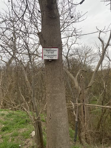 Aschersleben Einetallauf