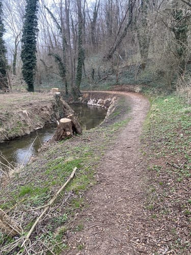 Aschersleben Einetallauf