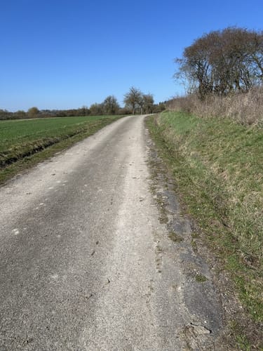Scherweiher - Dornberg - Walkmühle