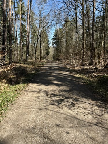 Scherweiher - Dornberg - Walkmühle