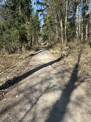 Scherweiher - Dornberg - Walkmühle
