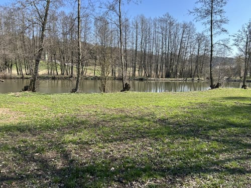 Scherweiher - Dornberg - Walkmühle