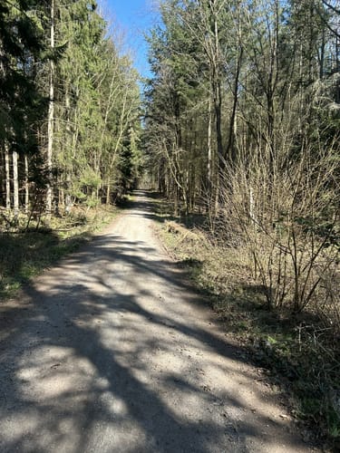 Scherweiher - Dornberg - Walkmühle