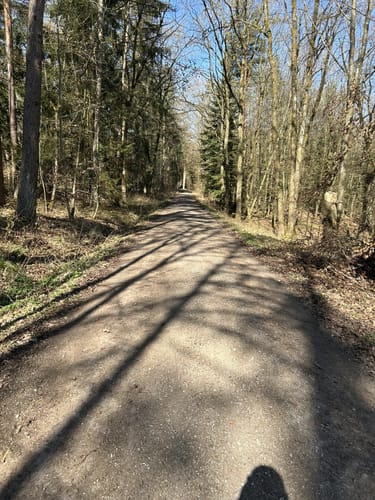Scherweiher - Dornberg - Walkmühle