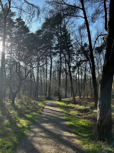 Beversee Rundweg